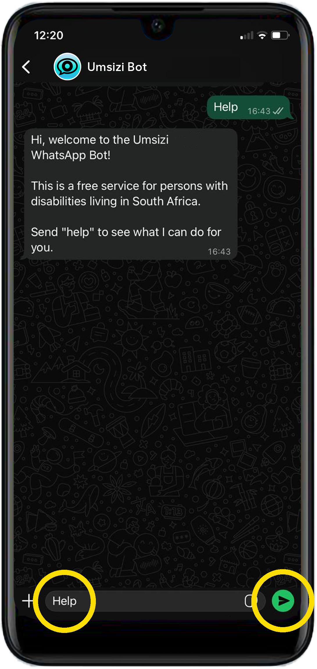 WhatsApp chat showing Help sent to Umsizi Bot and the welcome reply.